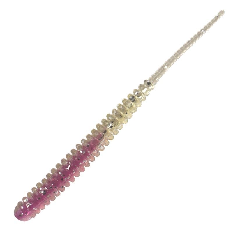 722 Purple Sea urchin